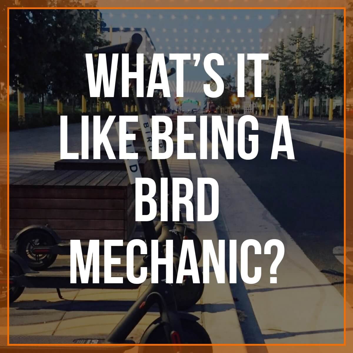 Bird scooter mechanic