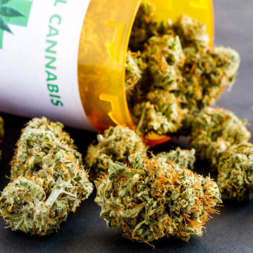 best weed delivery service