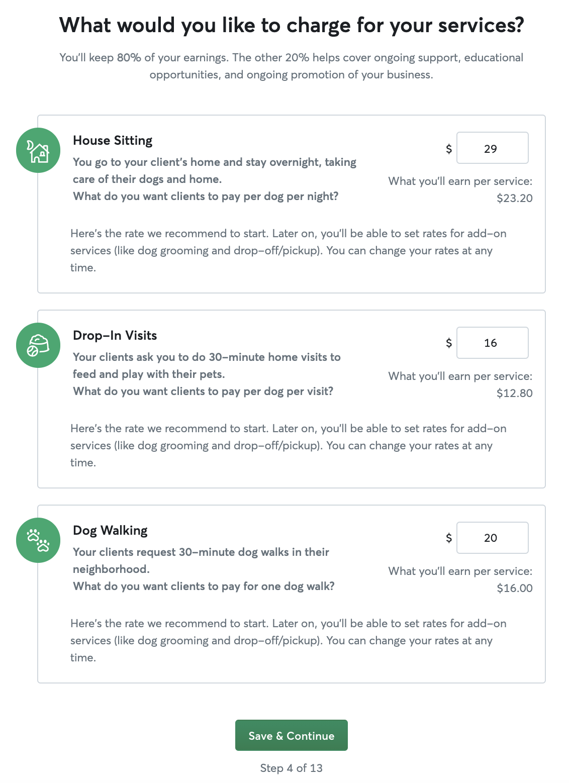 rover review