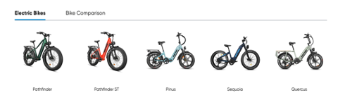 Went With the Sequoia Rattan eBike